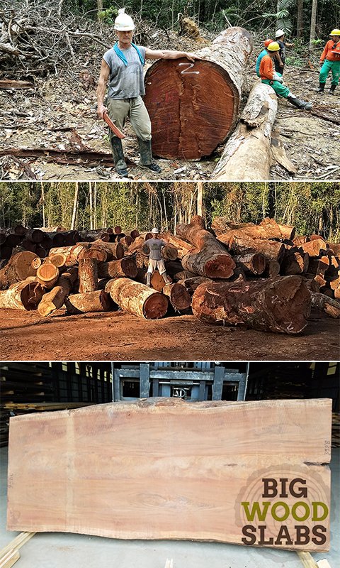 Wood Slabs Rare Earth Hardwoods Wood Slabs
